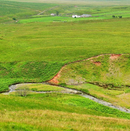 Where to cross Capel Water if you want to go onto Gana Hill before Queensberry