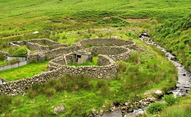 Detail of sheep pens and route ahead