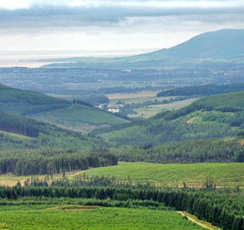 View from Wee Queesberry towards Criffel, Dumfries and the Solway Firth