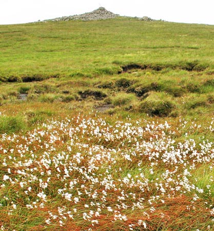 Approaching the main cairn at the top of Queensberry