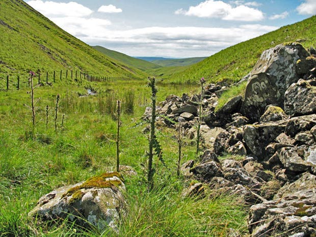 View southward down the valley between Penbreck and Earncraig