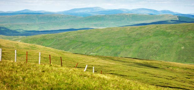 View north-eastward from Earncraig towards the Coulter hills