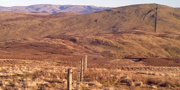 View from Gana Hill towards Earncraig and the Moffat hills