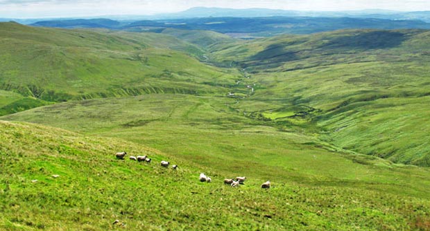 View from Earncraig towards Burleywag bothy