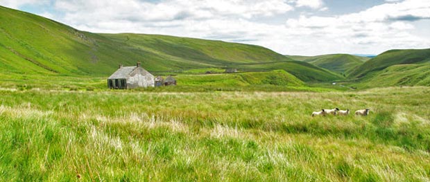 View of the abandoned house where the vehicle track starts