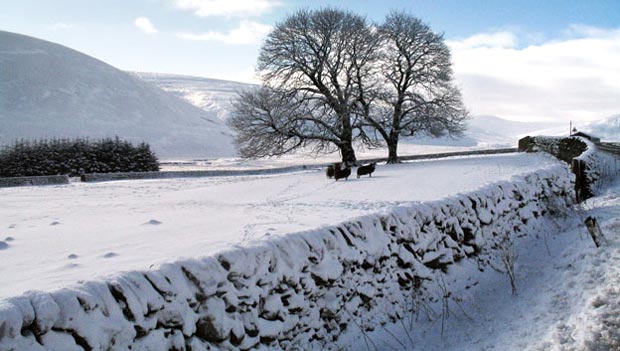 View looking south from the A702 along the valley of Potrail Water