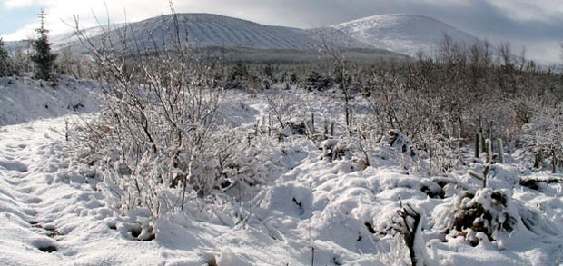 The Southern Upland Way track in snow near Potrail Water