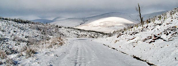 View looking north-west from the forest track section of the Southern Upland Way