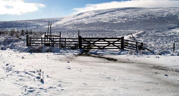 Where the Southern Upland Way emerges from the forest at the end of the forest road