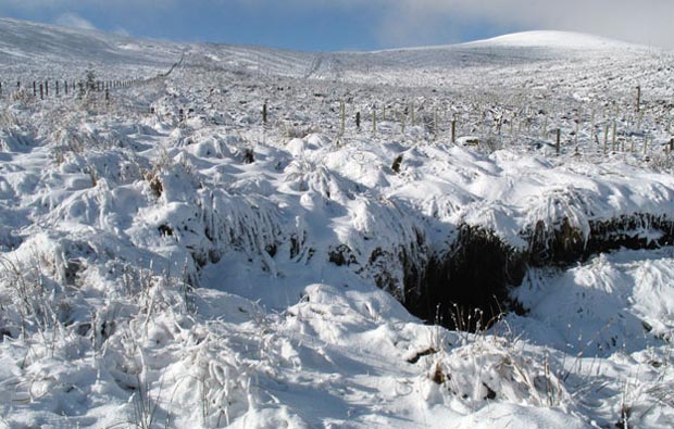 View ahead towards the saddle between Meikle Shag and Comb Law