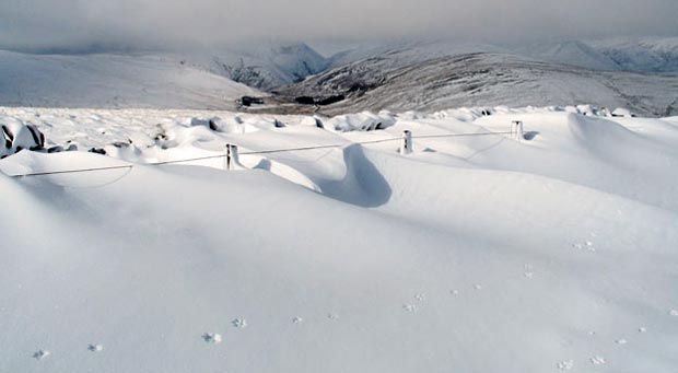 View towards Steygail as we climb Comb Law - with fox tracks