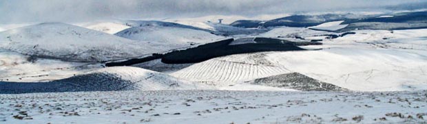 View from near the top of Comb Law looking due north towards the Lowther hills