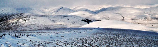 Views from Comb Law towards the high part of the Southern Upland Way where it goes over Cold Moss to Lowther Hill