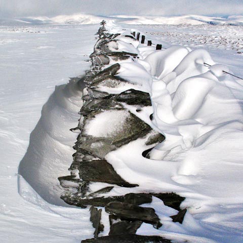 Snow sculptures on the top of Comb Law