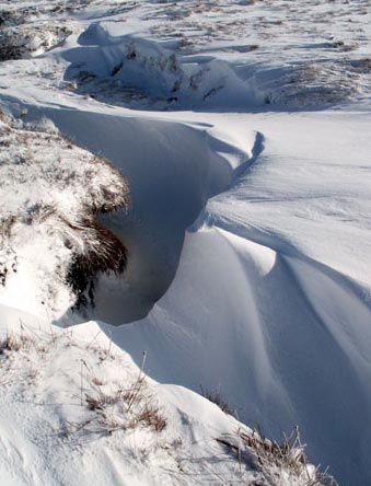 Mini crevasse between Comb Law and Rodger Law