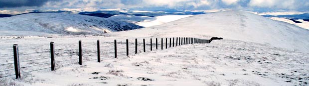 View of the route ahead from Rodger Law towards Ballencleuch Law