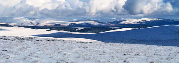 View towards the Moffat and Etrrick hills with Moffatdale between them