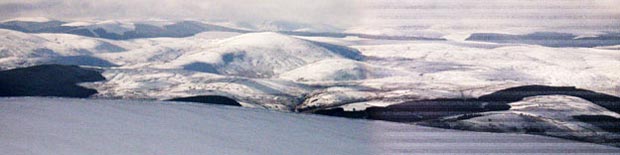 View taken while heading from the top of Ballencleuch Law towards Scaw'd Law - detail showing Cairnkinna