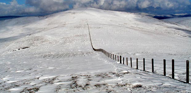 View from near the top of Scaw'd Law back to Ballencleuch Law