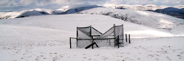 Bird trap near the top of Scaw'd Law