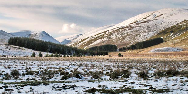 View towards Troloss from the Roman road running through to the A702