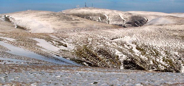 View across to Green Lowther from Cold Moss