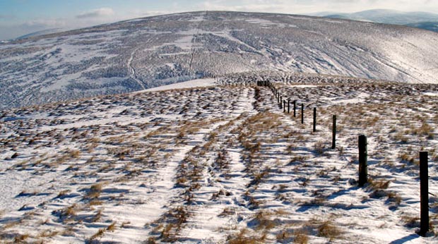 View looking back to Cold Moss from near the top of Lowther Hill