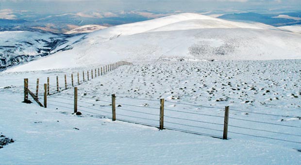 View of the route ahead from Green Lowther over to Peden Head