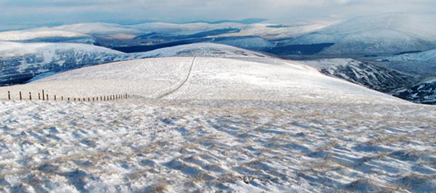 View down Riccart Law Rig from Peden Head 