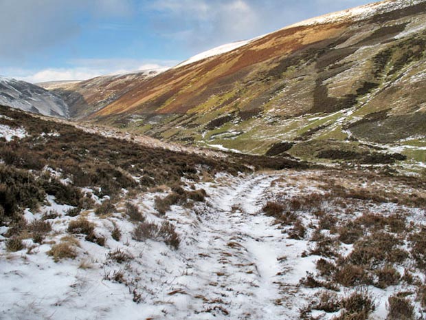 View back up the vehicle track that runs out of Riccart Cleuch