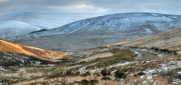 View ahead down the vehicle track that runs out of Riccart Cleuch towards Overfingland