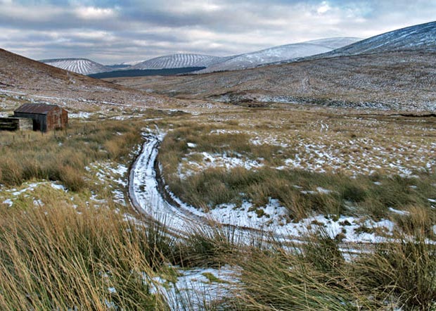 Short cut past the pigeon loft while heading for Overfingland