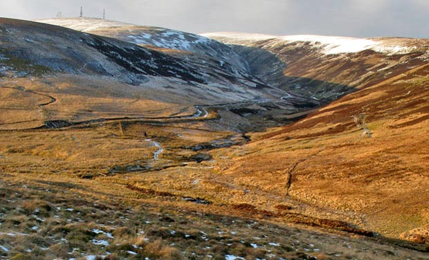 View back toward Riccart Cleuch as we rejoin the vehicle track back to Overfingland