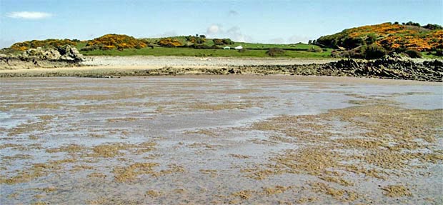 Looking back over the low-tide causeway from Carrick Shore to Ardwall Island