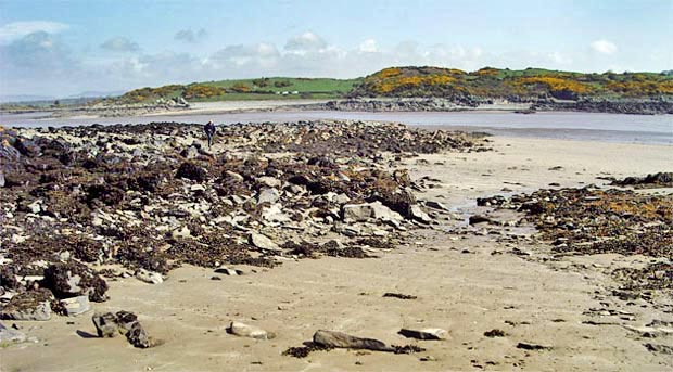 From the beach on Ardwall Isle looking back to Carrick Shore