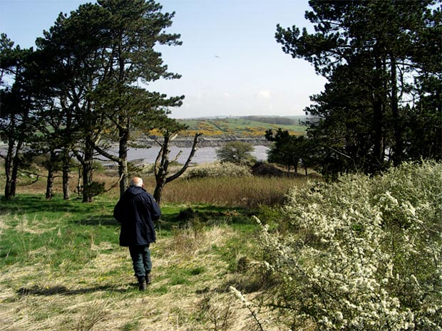 View ahead while making our way back towards Carrick Shore from Ardwall Island