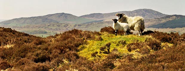 View from the top of Craigtype looking west to Cairnharrow