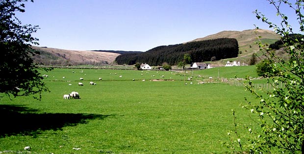 View of Culreoch Farm from the bottom of Castramont Cleuch