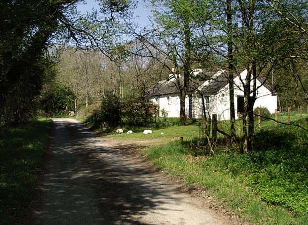 View back to cottage beside the track to Castramont Wood