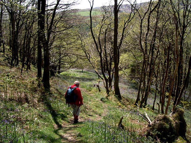 Beginning to descend back to the road from Castramont Wood