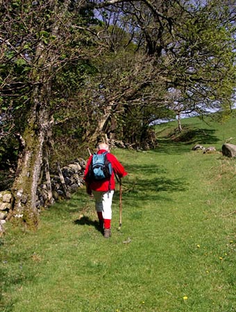 View of the ancient track going up from Lagg Farm to Laghead