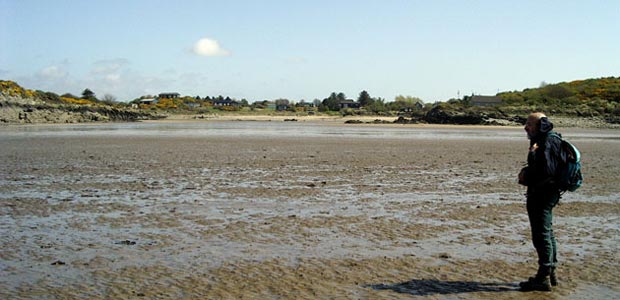 Low tide at Carrick Shore