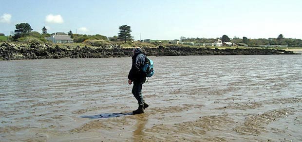 Crossing Airds Bay near Rough Point