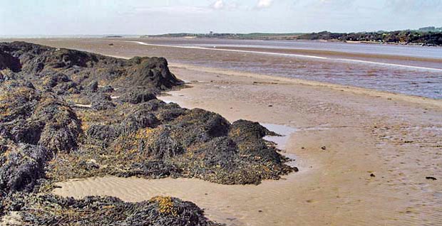 View of the channel of Water of Fleet as it runs out into the Solway Firth