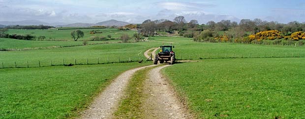 Looking back over the track we have come along as we approach Boreland of Girthon