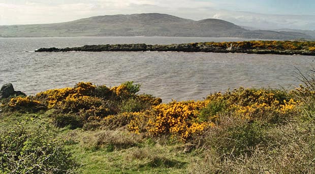 View from near Carrick Shore over Carrick Point to Cairnharrow with tide in