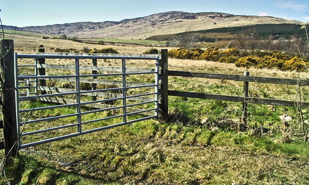 View from the gate by the roadside of the route we have come down