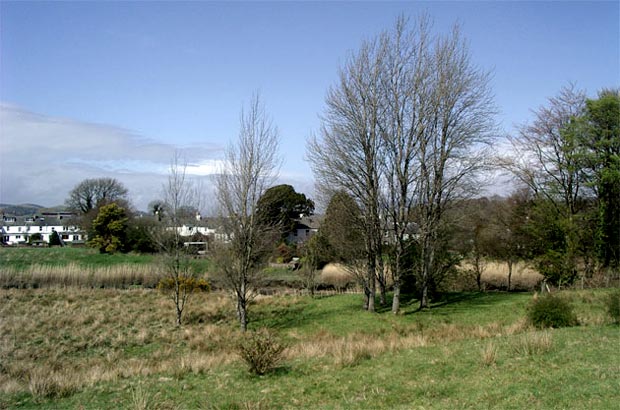 Near the golf cours on the east bank of Water of Fleet