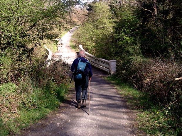 Heading from the golf course through Garries Wood towards Gatehouse of Fleet
