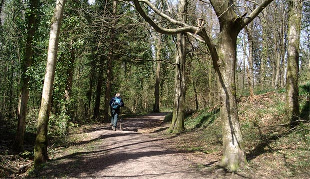 Heading through Garries Wood towards Gatehouse of Fleet